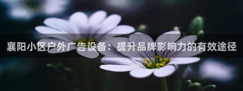 杏宇平台注册登录