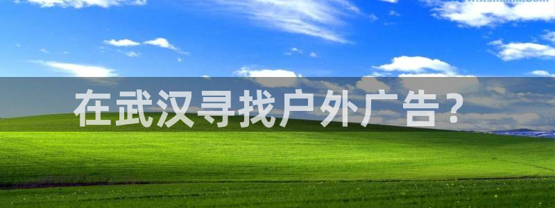 杏宇平台代理