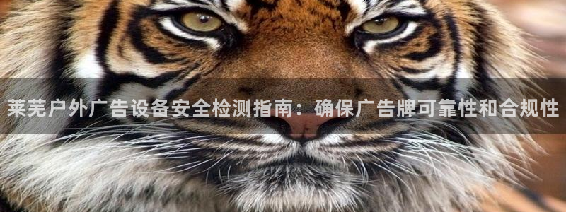 杏宇平台注册地址