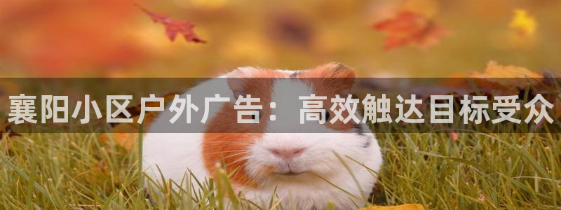 杏宇平台好吗
