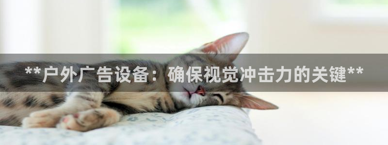 杏宇平台是什么