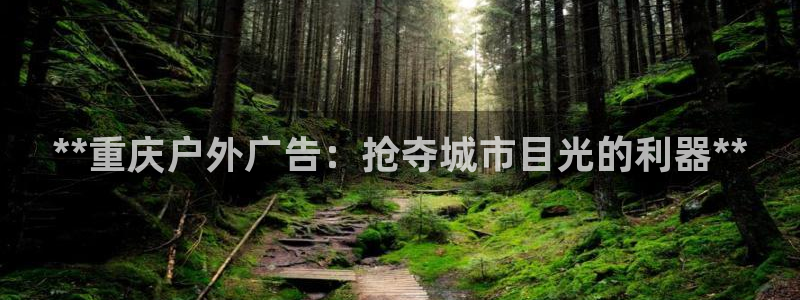 杏宇平台代理怎么样啊