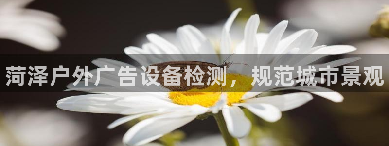 杏宇平台注册登录