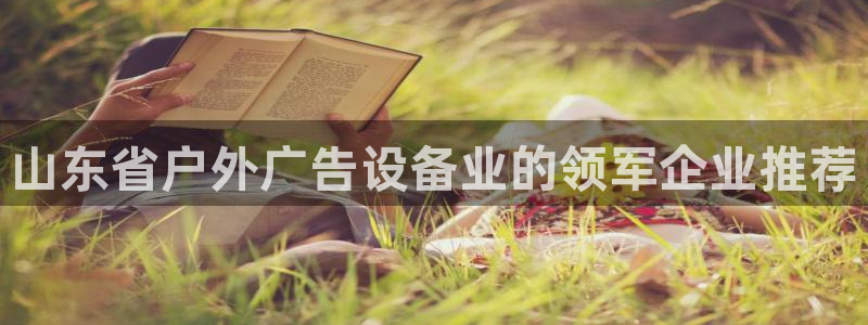 杏宇平台测速链接