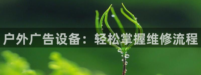 杏宇平台开户