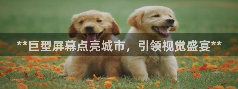 杏宇代理注册