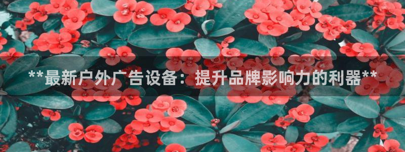 杏宇平台测速链接