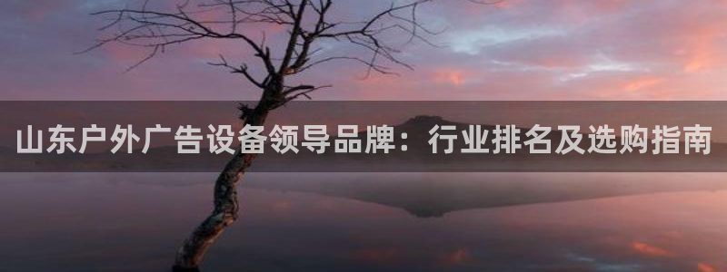 杏宇平台登录步骤图