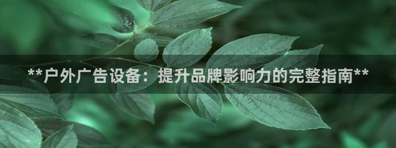 杏宇平台代理多少钱一个月
