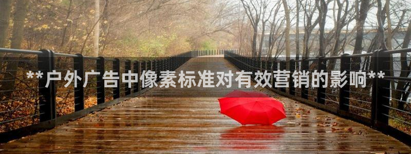 杏宇平台怎么样赚钱