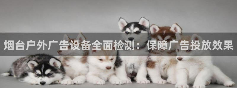 杏宇平台代理怎么赚钱