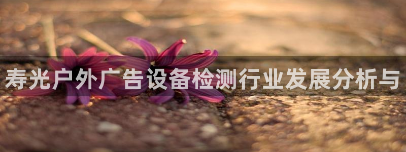 杏宇平台代理多少钱一个：寿光户外广告设备