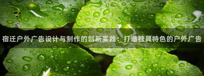杏宇平台总代理是谁：宿迁户外广告设计与制