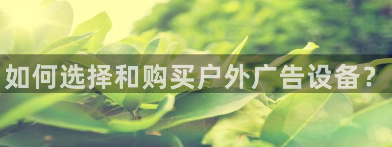 杏宇平台登录方法：如何选择和购买户外广告