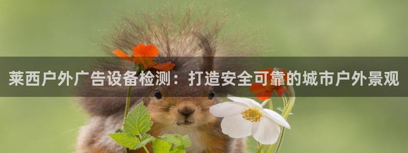 杏宇平台怎么样