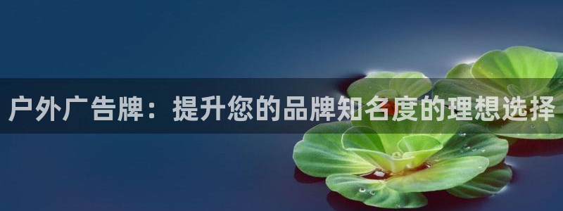 杏宇平台登录步骤