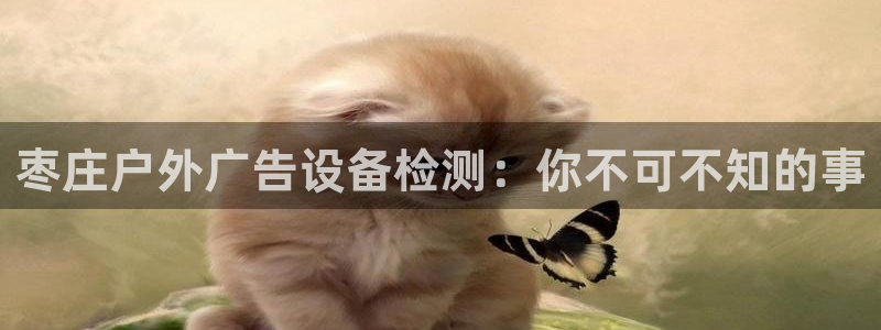 杏宇官方平台官网