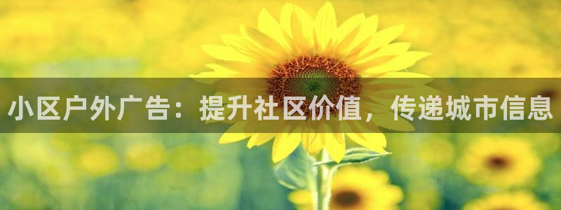 杏宇平台总代理电话