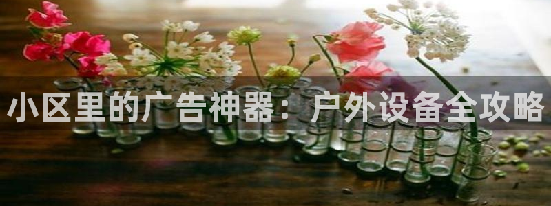 杏宇平台登录方法