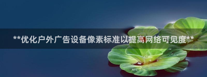 杏宇平台代理多少钱一个：**优化户外广告设备像素标准以提高网络可见度**