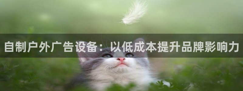杏宇平台主管：自制户外广告设备：以低成本提升品牌影响力