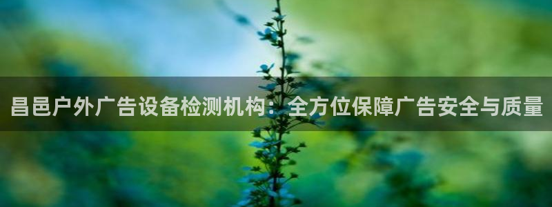 杏宇平台代理多少钱一次：昌邑户外广告设备检测机构：全方位保障广告安全与质量