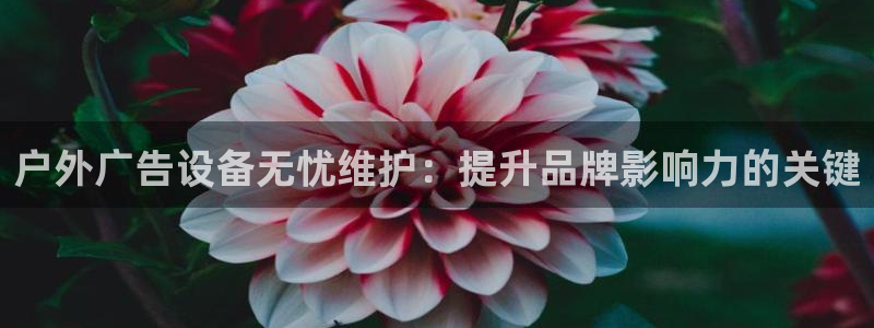 杏宇平台客服：户外广告设备无忧维护：提升品牌影响力的关键