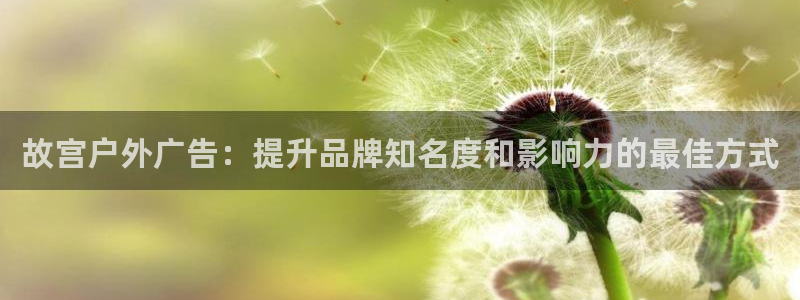 杏宇平台代理怎么赚钱快：故宫户外广告：提升品牌知名度和影响力的最佳方式