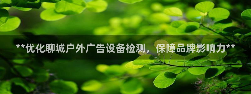 杏宇平台总代理是谁：**优化聊城户外广告设备检测，保障品牌影响力**