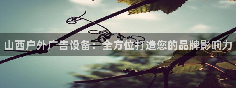 杏宇平台代理