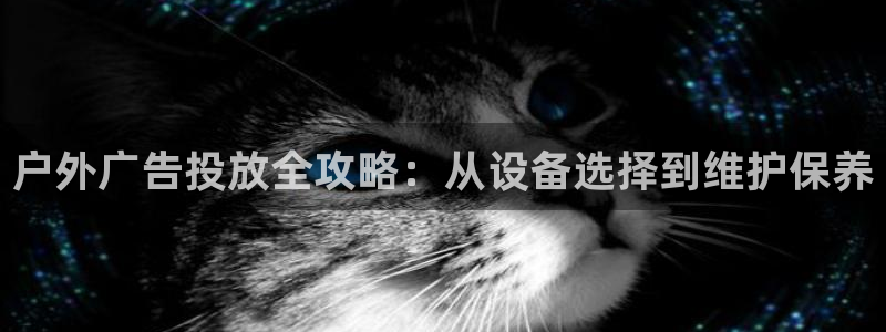 杏宇平台代理