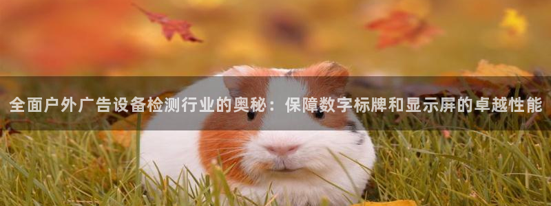 杏宇平台代理多少钱：全面户外广告设备检测行业的奥秘：保障数字标牌和显示屏的卓越性能