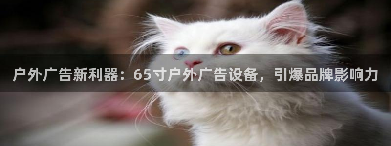 杏宇平台代理多少钱一次