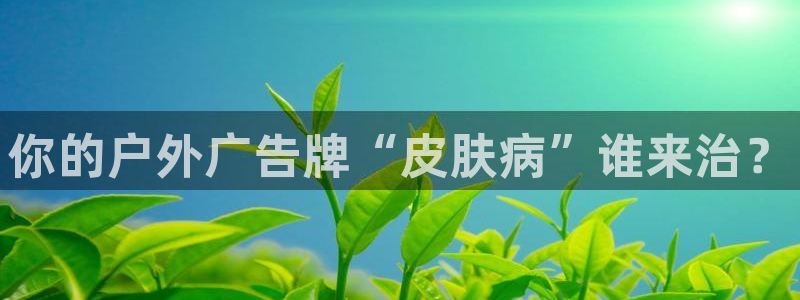 杏宇平台怎么样赚钱