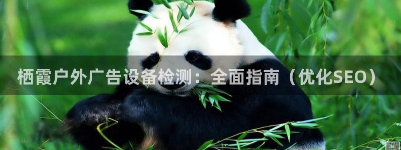 杏宇平台登录步骤：栖霞户外广告设备检测：全面指南（优化SEO）