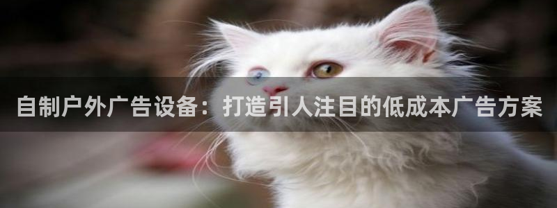 杏宇平台代理怎么样赚钱：自制户外广告设备：打造引人注目的低成本广告方案