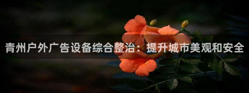 杏宇平台代理多少钱：青州户外广告设备综合整治：提升城市美观和安全
