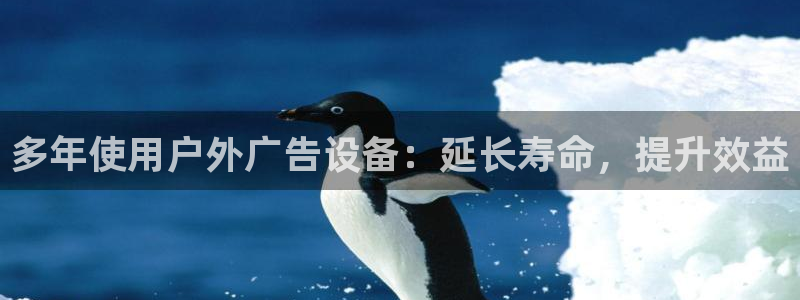杏宇平台招商电话号码