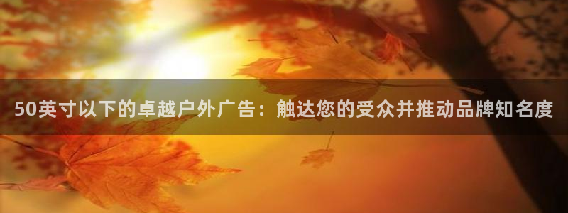 杏宇平台招商怎么样：50英寸以下的卓越户外广告：触达您的受众并推动品牌知名度