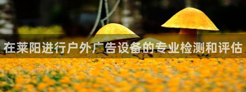 杏宇平台登陆：在莱阳进行户外广告设备的专业检测和评估