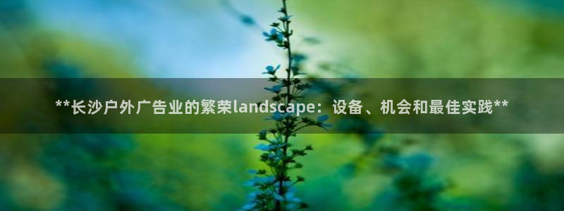 杏宇官方平台官网：**长沙户外广告业的繁荣landscape：设备、机会和最佳实践**