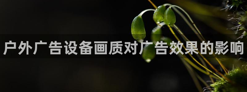 杏宇平台怎么样