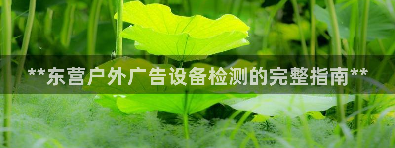 杏宇平台总代理：**东营户外广告设备检测的完整指南**