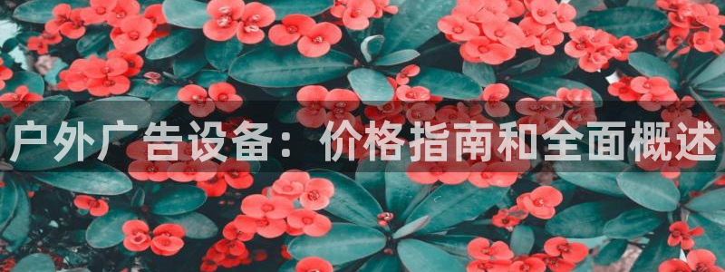 杏宇平台代理怎么赚钱