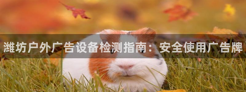 杏宇平台代理怎么赚钱的