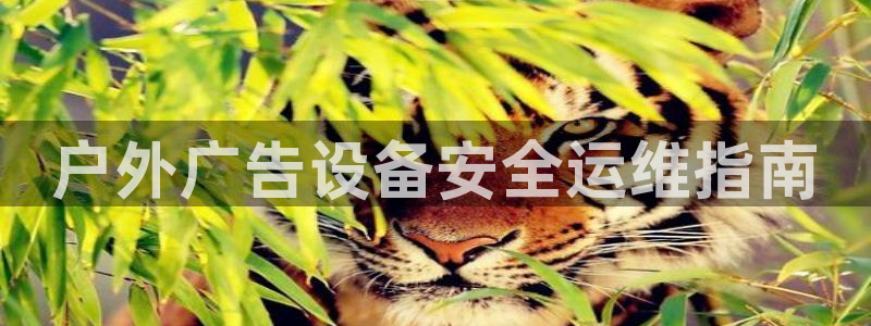 杏宇平台代理多少钱一次