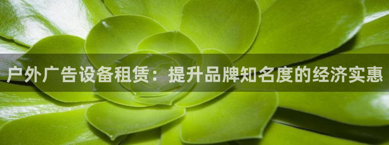 杏宇平台代理多少钱一个：户外广告设备租赁：提升品牌知名度的经济实惠