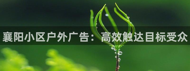 杏宇平台招商电话号码