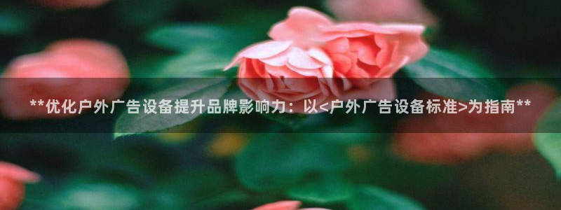 杏宇平台登录步骤：**优化户外广告设备提升品牌影响力：以<户外广告设备标准>为指南**