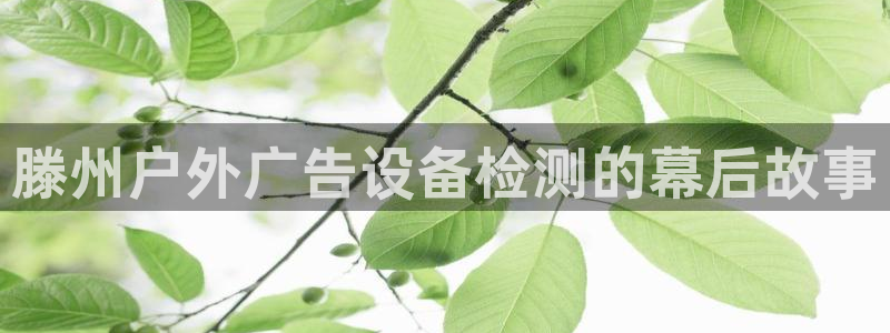 杏宇平台登陆